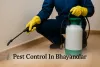Pest control expert spraying insecticide along floor in Bhayandar home with visible cockroach and shadowed text.