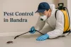 Best Pest Control in Bandra: Safe & Effective Solutions for 2025 🌟