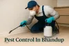 Pest control technician in Bhandup spraying insect near wall with gloves, mask, and shadowed Lora font text.