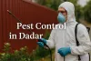 Pest control expert in Dadar wearing protective gear and spraying outdoors with bold Lora font text overlay.