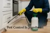 Pest control technician treating cockroach infestation in Jogeshwari kitchen with spray, gloves, and modern equipment.