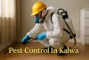 Pest control technician in Kalwa using sprayer indoors with full safety gear and protective equipment.