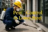 Pest control technician spraying building exterior in Lower Parel with highlighted text.