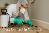 Pest control technician treating cockroach in Mahalaxmi home using spray, gloves, and shadowed Lora font text.