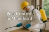 Pest control professional in Mankhurd spraying indoors with safety gear and pesticide sprayer.