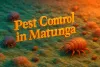 3D image of pests on textured surface with bold Lora font text “Pest Control in Matunga” in vibrant golden-orange color.