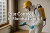 Pest control expert spraying indoors in Mumbai Central wearing protective gear.