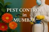 Colorful image of a pest control expert in Mumbai with bold Lora font text and vibrant flowers in the background.