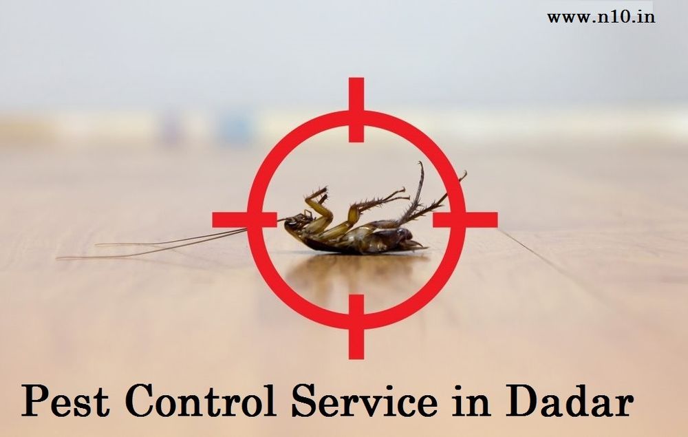 Top Pest Control Service In Dadar