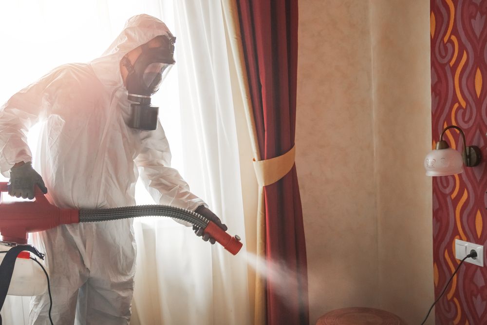 Top Pest Control Service In Ghansoli