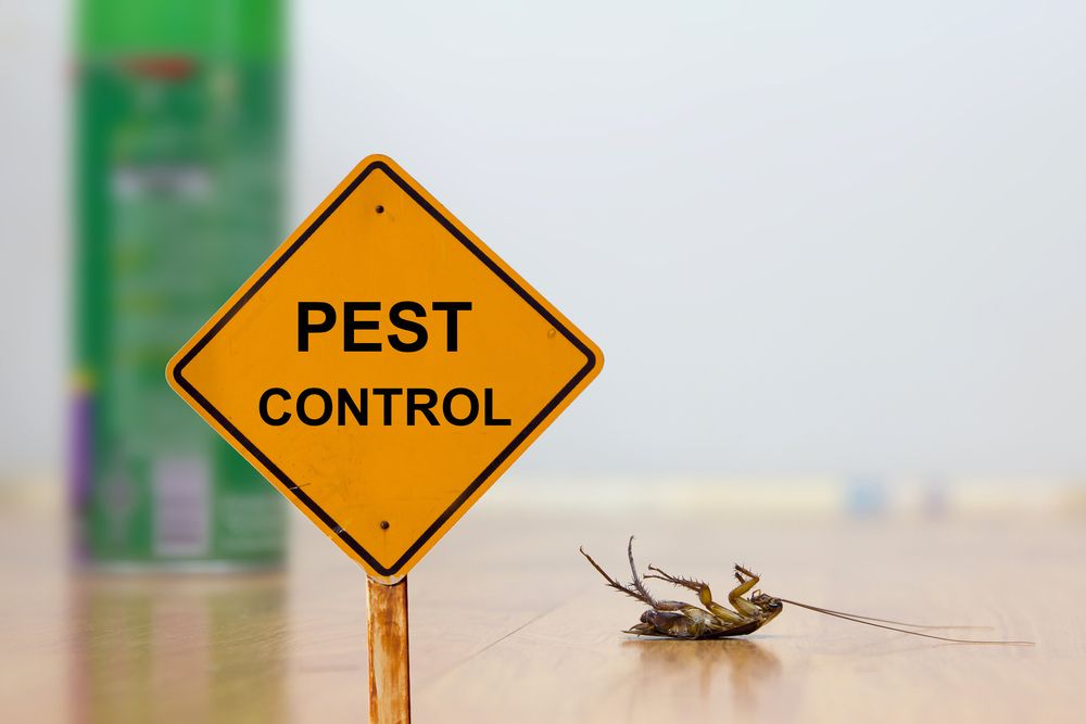 Top Pest Control Service In Mira Road