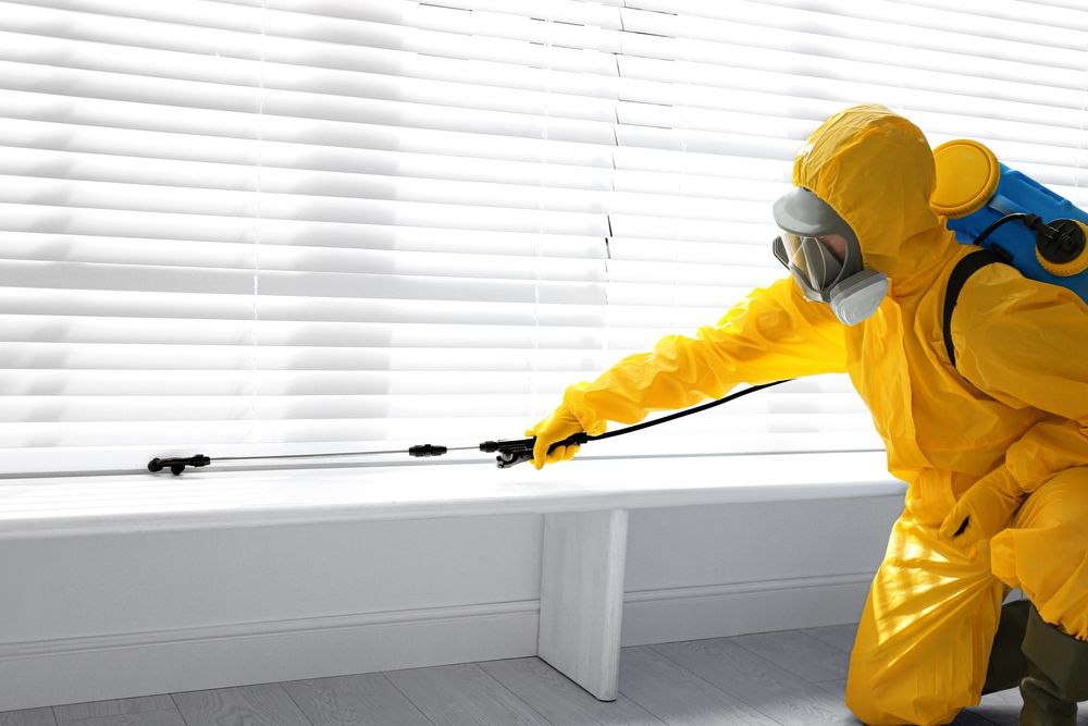 Top Pest Control Service In Ulwe