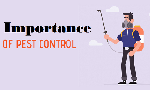 Importance of Pest Control