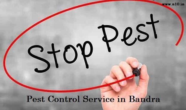 Top Pest Control Service In Bandra