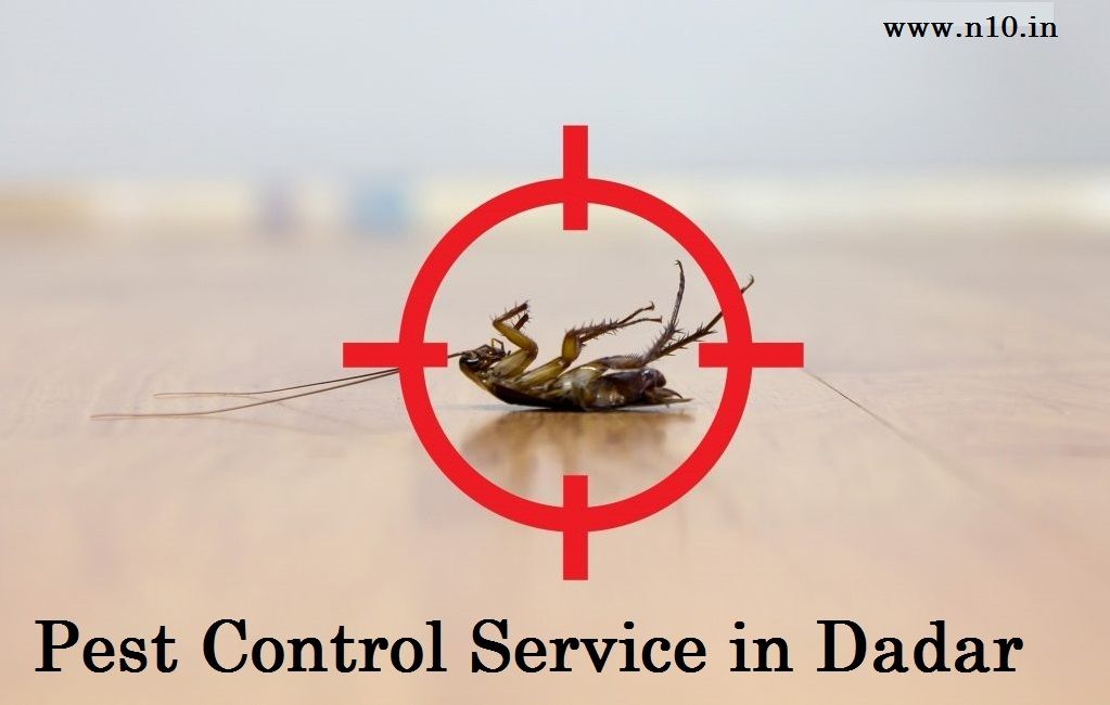 Top Pest Control Service In Dadar