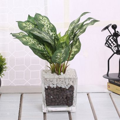 Indoor Planters: Enhance Your Ambience and Health in Style