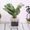 Indoor Planters: Enhance Your Ambience and Health in Style