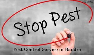 Top Pest Control Service In Bandra