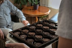 Health Benefits of Dark Chocolates