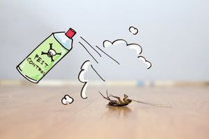 Top Pest Control Service In Kalwa