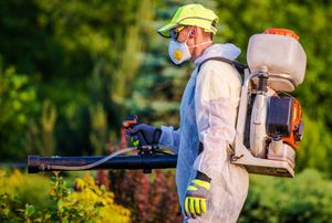 Top Pest Control Service In Mahalaxmi