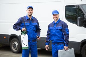 Top Pest Control Service In Powai