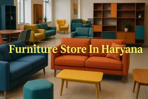 Discover the Best Furniture Store in Haryana for Your Dream Space in 2025 🏡