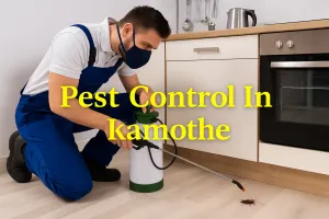 Keep Your Space Pest-Free with Expert Pest Control in Kamothe 🐜🚫