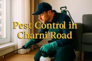 Keep Your Space Pest-Free with Expert Pest Control in Charni Road 🐜🚫