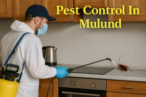 Keep Your Space Pest-Free with Expert Pest Control in Mulund 🐜🚫