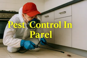 Keep Your Space Pest-Free with Expert Pest Control in Parel ππ«