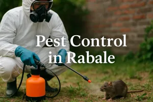 Protect Your Space with Expert Pest Control in Rabale 🐜🚫