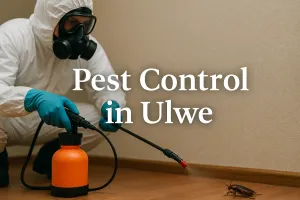 Protect Your Home with Expert Pest Control in Ulwe 🐜🚫