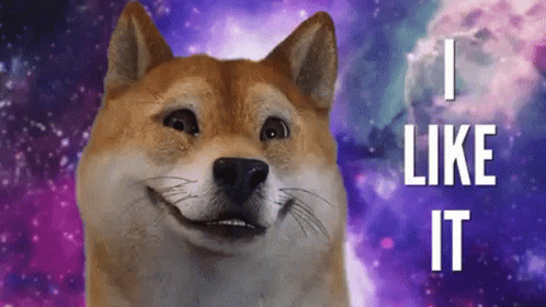 Story of doge